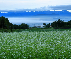 「雲棚引く」長谷川正和