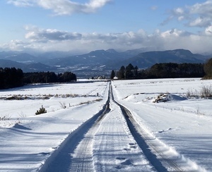 「昭和村ロード」長谷川蘭