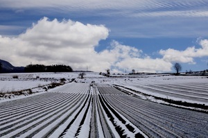 「雪化粧」御供良一