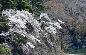 「川岸に咲く」篠原朝夫