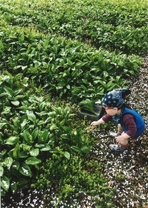 「お仕事大変だ」吉澤由衣