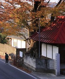 「樹齢700年」斉藤重利