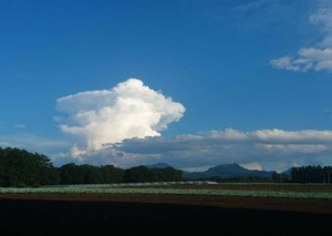 「風景」倉沢悠