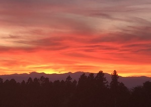 「山奥の夕方」根岸メイ