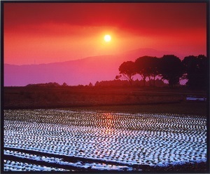 『夕日を受けて』花茂　喜右