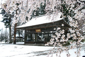 『桜・雪・小高神社』林　孝志
