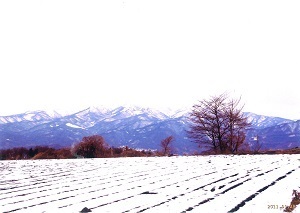『きれいな景色が見える昭和村』木村　侑加