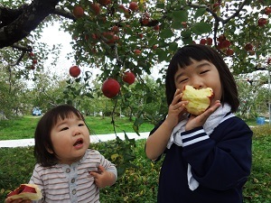 『大好きなりんご園』今井　健雄