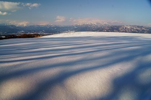 『きれいな雪げしき』後藤　千聖