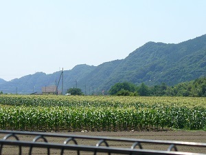 『校庭から見えた山』阿部　未唯奈