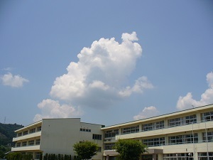 『白い雲』横坂　晴香