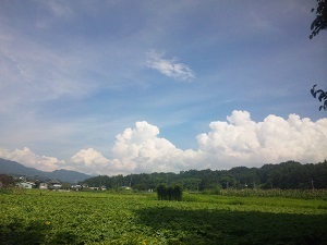 『夏の空』萩原　萌黄