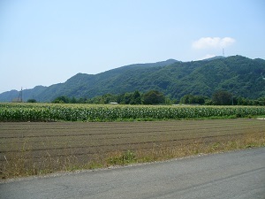 『緑で豊かな昭和村』加藤　玲那