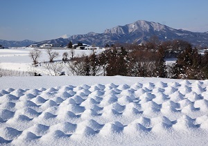 『子持山』上野　祐司