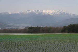 『残雪と共に』笹沢　平八