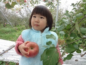 『私がとったリンゴ』今井　健雄