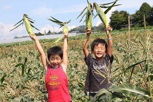 『友だちと、とうもろこしでかいぞ。』石井　柊也