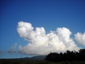 『たべちゃう象（夏の雲）』髙𣘺　壮哉