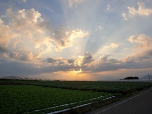 『夕日』菅原　里菜