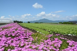 『美しき大地』井上　俊彦