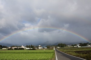 『にじがでたぞ』石井　大翔