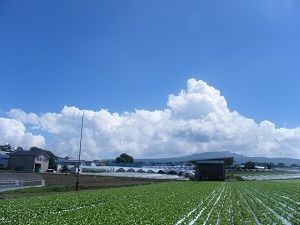 『入道雲』菅沼　亮太