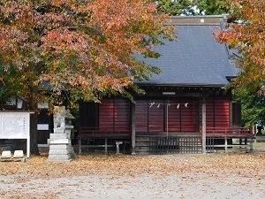 『紅葉と神社』中村　有伴