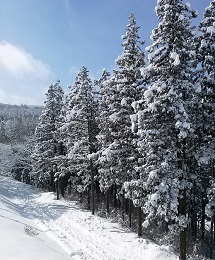 『美しい村の冬景色』今井　健雄