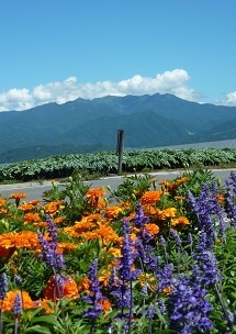 『きれいなお花ばたけ』金崎　百花