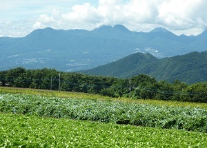 『ザ・昭和村』金崎　朱利