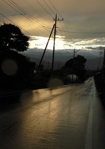 『光る道路』金崎壮吾