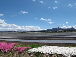 風景15