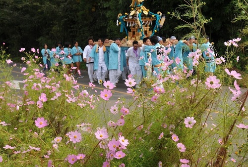 夏祭り大人神輿