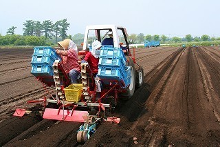 植え付け｜観光・産業 ｜群馬県昭和村公式ホームページ