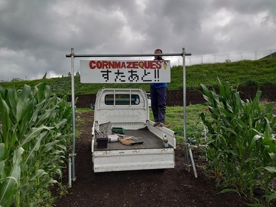 とうもろこし迷路6 とうもろこし迷路6