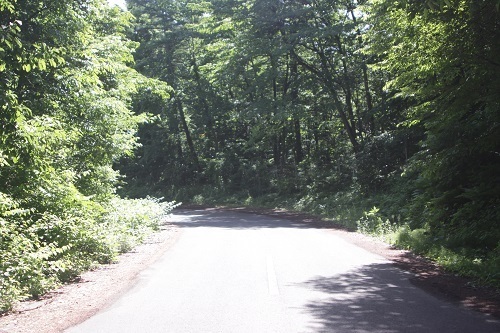 登山道までの道順４