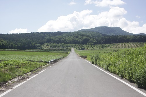 登山道までの道順７