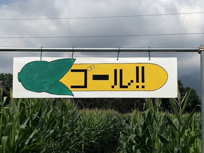 とうもろこし迷路14 とうもろこし迷路14