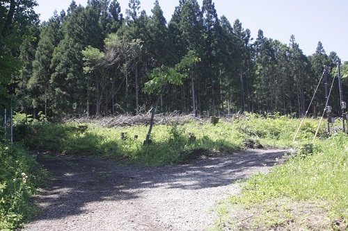 登山道までの道順楢水コース２