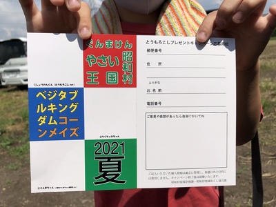 とうもろこし迷路12 とうもろこし迷路12