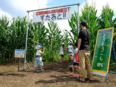 とうもろこし迷路19