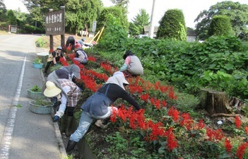 婦人会による「花いっぱい運動」